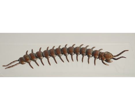 A JAPANESE BRONZE ARTICULATED CENTIPEDE. 6ins long.