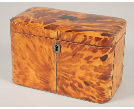 A REGENCY TORTOISESHELL TWO DIVISION TEA CADDY. 6.75ins