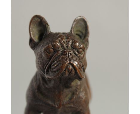 A BRONZE BULLDOG