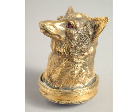 A GOOD RUSSIAN SILVER GILT DOG'S HEAD SNUFF BOX, 2.5ins long with blue enamel and diamond base. Mark I.P., Head 84 in a Faber