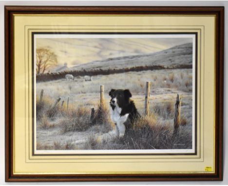 STEVEN TOWNSEND (Northern artist, born 1955); a pencil signed limited edition print titled 'First Light', depicting a Collie 