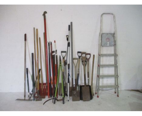  A collection of garden, hand tools, ladder etc.