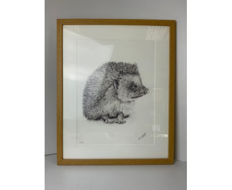 Framed P Stagg Print - Hedgehog 