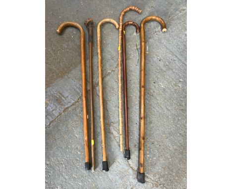 Walking Sticks to Include Carved Head Stick 