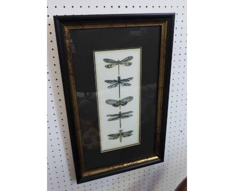 DRAGONFLY PRINTS, a pair, 30cm x 13cm, each framed and glazed. (2)