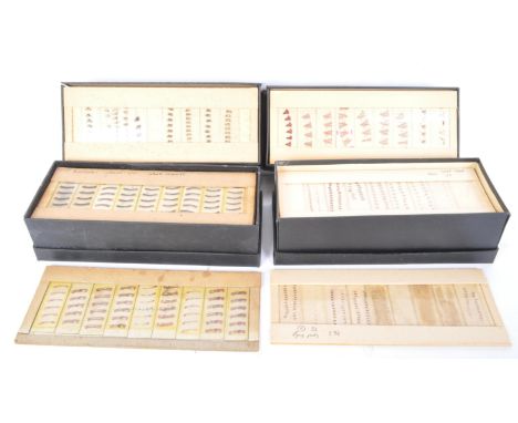 Of zoological,&nbsp;entomology&nbsp;interest. A&nbsp; large collection of retro vintage mid 20th Century c. 1960s fish / sea 