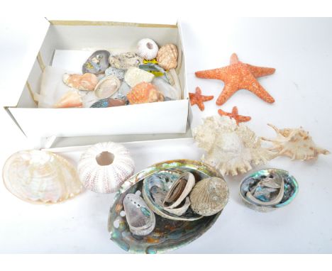 Conchology - An assortment of 20th century sea shells comprising of a large abalone shell and mother of pearl, murex shells, 