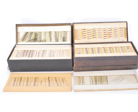 Of zoological, entomology interest. A large collection of retro vintage mid 20th Century c. 1960s fish / sea life specimen mi
