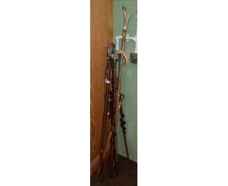 A Swiss horn handled walking stick and seven horn handled and brass mounted sticks (8)