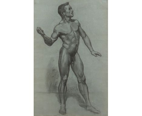 LASSEN, Käte (1880-1956), "Männlicher Akt", Bleistift/Kohle/Papier, 61 x 40 (Passepartoutausschnitt), R.