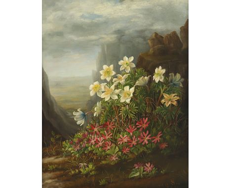 STORCH, Anna Fredericke (1815-1898), "Hab' mich lieb und Teufelsbart oberhalb der Schneegruben im Riesengebirge", Öl/Lwd., 51