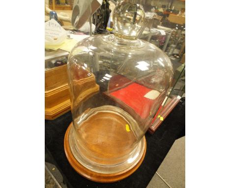 A DOMED GLASS DISPLAY CASE ON PLINTH 