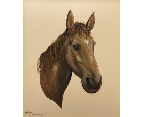 Adrian Thompson (British 1960-): My Beloved 'Candy' - Portrait of a Horse, oil on canvas signed and titled 60cm x 50cm