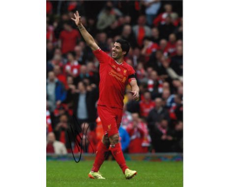 Football Louis Suarez 16 x 12 inch signed colour photo pictured while playing for Liverpool F. C. Good Condition. All autogra