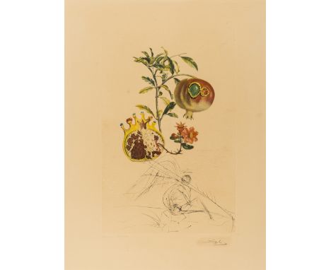 Salvador Dali (1904-1989)Grenade et l'ange (Field 69-11L; M&amp;L 355e)Lithograph printed in colours with etching and embossi