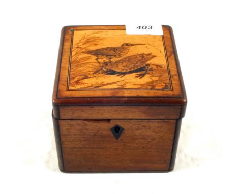 A 19th Century Mahogany single compartment tea caddy with bird inlays (rim chip)