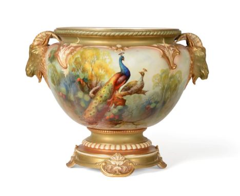 A Royal Worcester Porcelain Jardinière, 1911, painted by A Shuck with peacocks and hens perched in branches within moulded sc