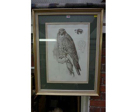 Charles Frederick Tunnicliffe, 'Hawkes and Falcons', signed in pencil and numbered 69/90, lithograph, 53 x 37cm. 