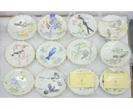A SET OF TWELVE ROYAL WORCESTER BIRDS OF DOROTHY DOUGHTY DESSERT PLATES, PAINTED IN COLOURS IN SCALLOPED GILT RIM, THE FOOTRI