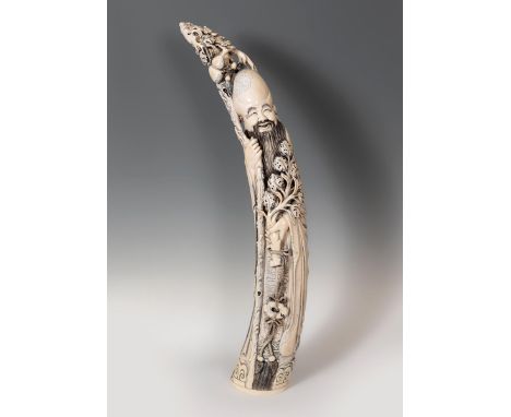 Fukurokuju. China, first quarter of the 20th century.Carved tusk.With CITES certificate.Size: 95 cm. height. Weight: 10 kg.Th