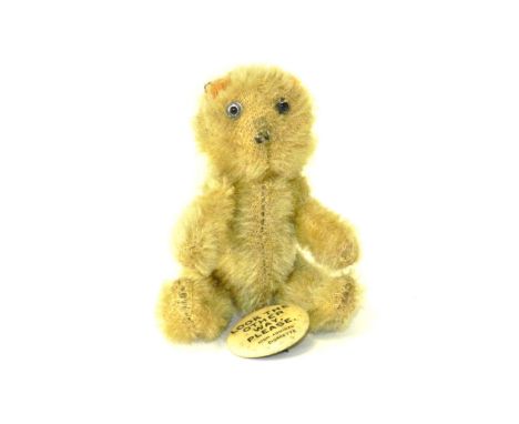 Vintage Farnell “Campbell” Bear with "Look the other way, please" metal badge. Attributed to original British Teddy Bear prod