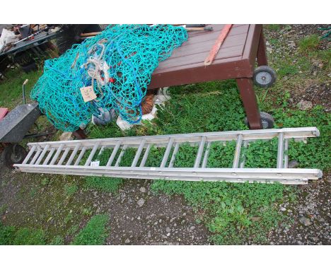 An 11 rung aluminium extending ladder.