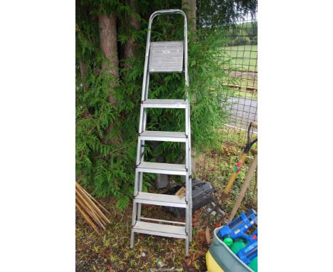 A six rung aluminium step ladder.