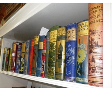 A COLLECTION OF LATE 19TH/EARLY 20TH CENTURY BOOKS with pictorial bindings and others similar (top shelf of book case)