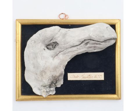 Sculpture of a Dodo profile, framed, L: 22 cm. UK P&amp;P Group 2 (£20+VAT for the first lot and £4+VAT for subsequent lots) 