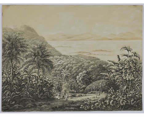 Silberstift mit Tusche, weiß gehöhtAdolf Hoeffler 1825 Frankfurt - 1898 Frankfurt "Kuba - Weite Küstenlandschaft" auf festem,