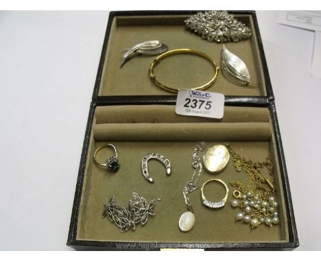 Miscellaneous silver Brooches, rolled gold bangle, locket, etc.
