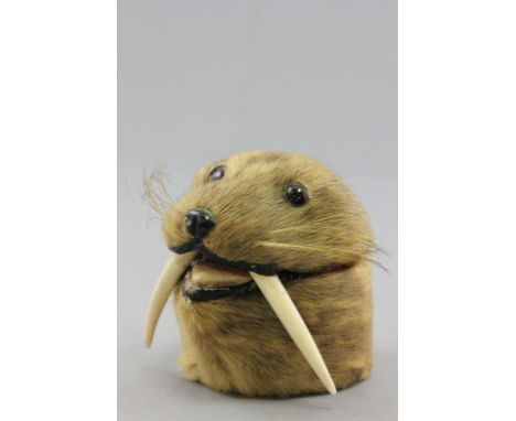 Taxidermy Inkwell in the form a Seal's Head with added Tusks