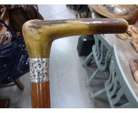 Malacca Shafted Walking Stick with Antler Handle and Silver Band, Chester 1900