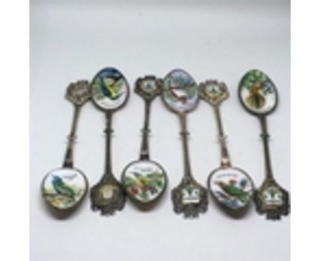 Collection of 6 vintage spoons with enamel bowls showing birds of New Zealand, Ouvenir of Tokoroa NZ 