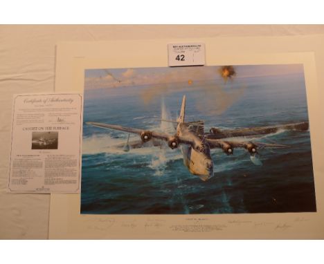 Robert Taylor “Caught on the Surface” The Signed & Numbered Edition print 448/500 with certificate