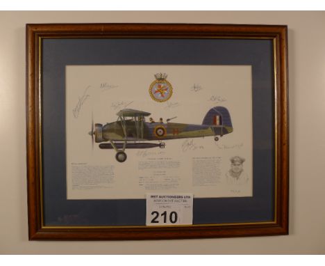 Malcolm Kinnear “Swordfish Aerophile” Limited Edition framed print 78/100 with certificate (on back of frame)