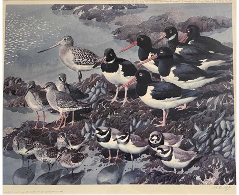 After Charles Frederick Tunnicliffe (1901-1979), 'At low tide - Waders', limited edition lithograph, numbered 484 (of 500 cop