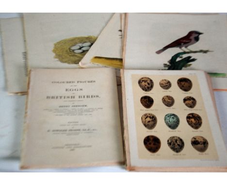 SEEBOHM. HENRY.  Coloured Figures of the Eggs of British Birds. Pub 1896, Dismembered copy with colour plates. AND 14 other O