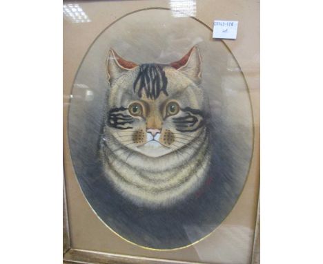 Portrait of a tabby cat signed and dated 'J.Dunn, 1860.' (lower right) gouache and watercolour 28 x 21cm