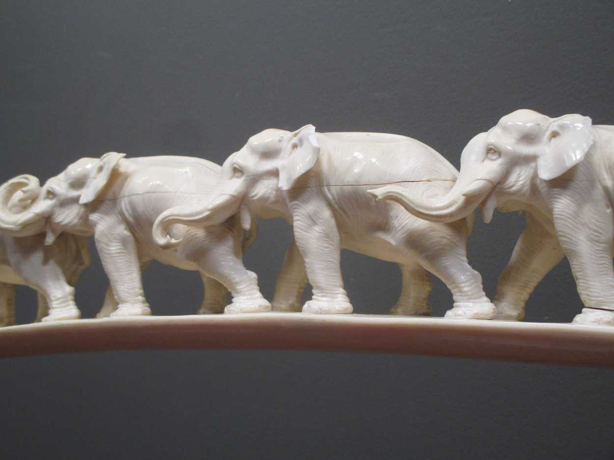 An ivory elephant tusk carved with twelve graduated elephants on a