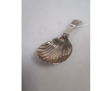 A George IV silver shell bowled caddy spoon  