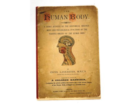'The Human Body' by Owen Lankester, illustrated by diagrams and a coloured mannequin