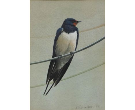 K Richardson (Contemporary)Swallow on a WireWatercolourSigned and dated '8624cm x 16cm