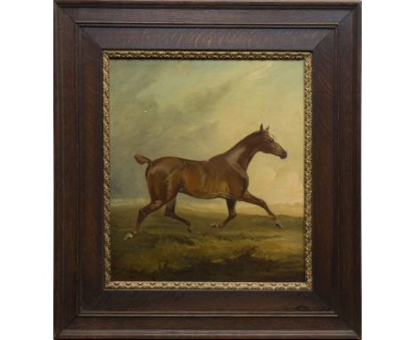 JAMES LYNWOOD PALMER (BRITISH 1868 - 1941),PORTRAIT OF A HORSE IN A LANDSCAPEoil on canvas, signed41cm x 36cmFramedProvenance