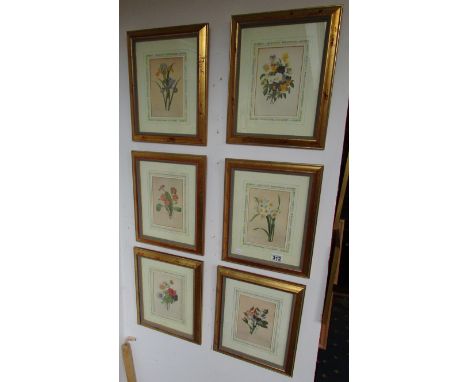 6 botanical prints