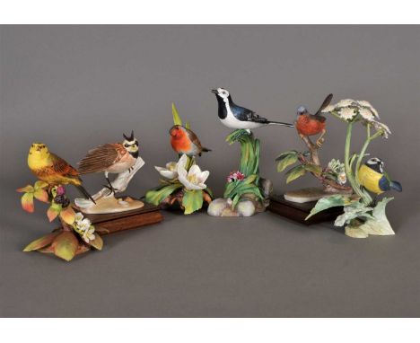 Five Royal Worcester models of birds designed by James Alder comprising a Shore Lark, Robin, Yellow Bunting, Blue Tit and a D