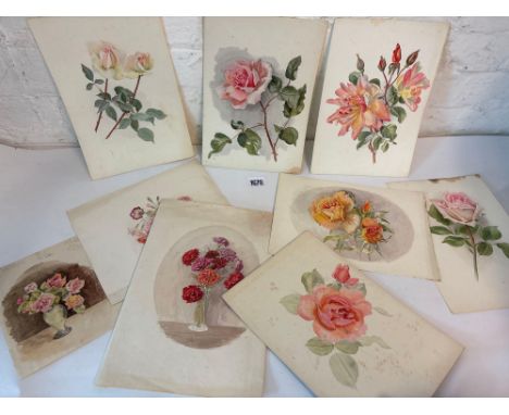 Folio of unframed studies of Flowers