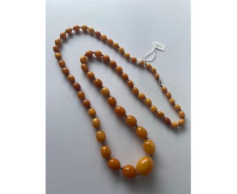A set of butterscotch amber necklace 34 inch 69.4 gms
