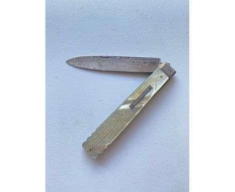 An attractive Georgian fruit knife with M.O.P sides, Sheffield 1826 by TS