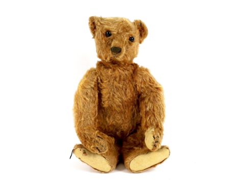 An early cinnamon Steiff, c.1907, with underscored button, 33cm, good thick mohair, slight fading on front